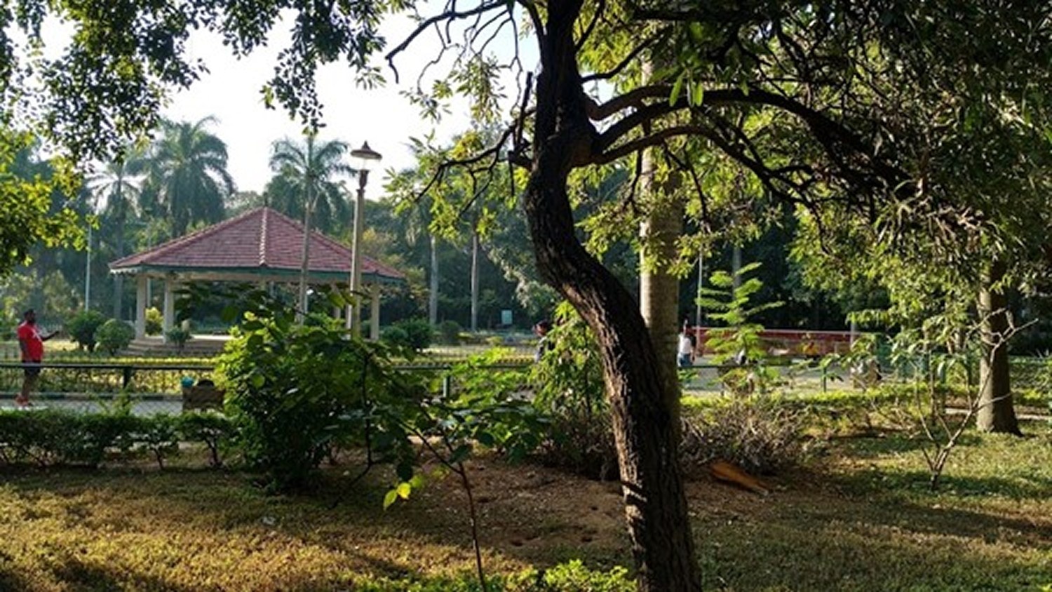M.N. Krishna Rao Park